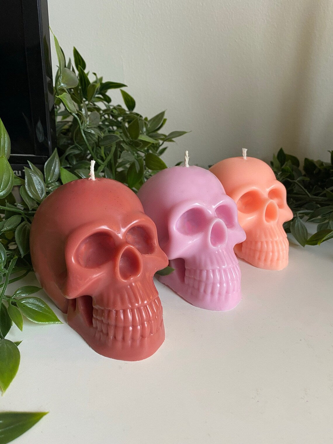8 oz. Scented & unscented soy Skull candle Free domestic shipping